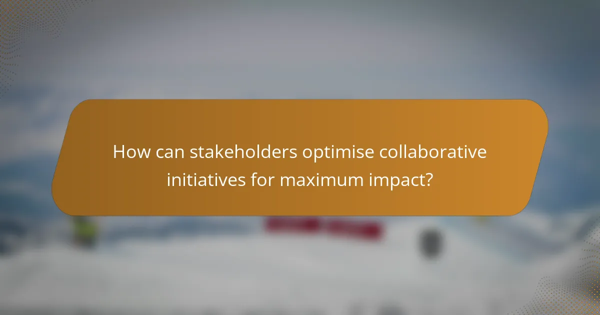 How can stakeholders optimise collaborative initiatives for maximum impact?