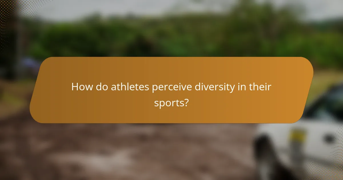 How do athletes perceive diversity in their sports?