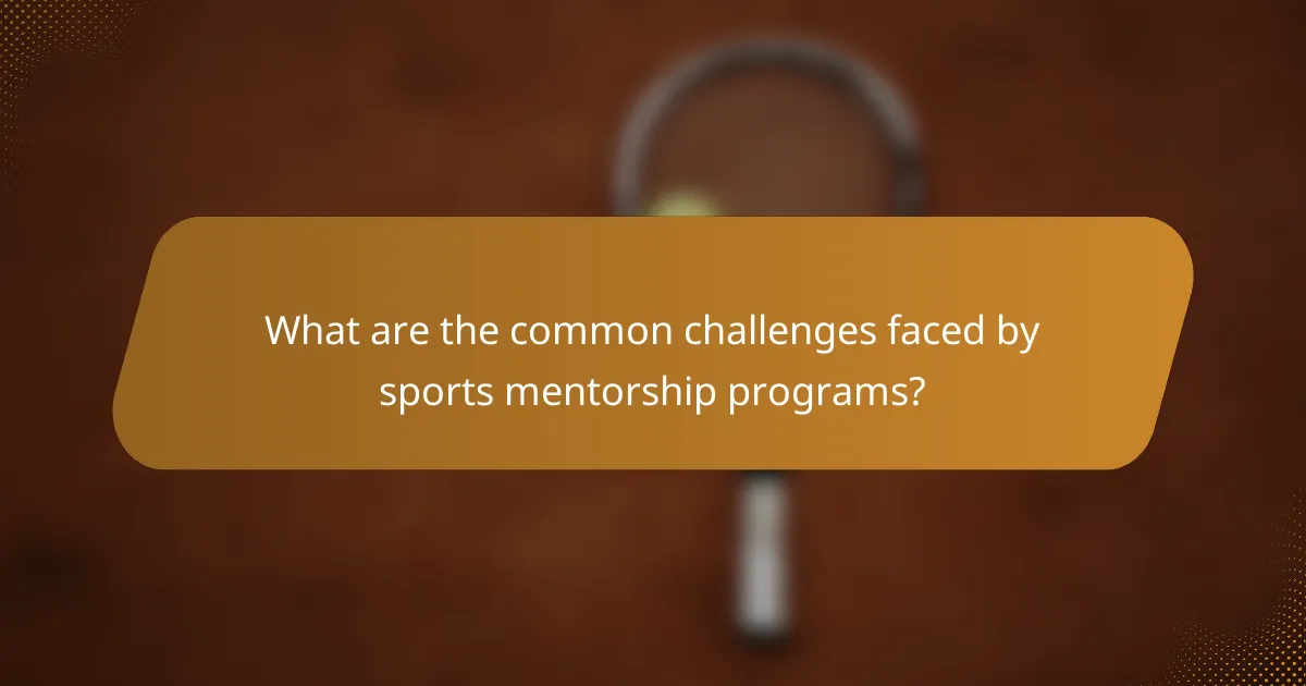 What are the common challenges faced by sports mentorship programs?