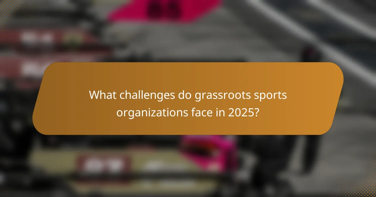 What challenges do grassroots sports organizations face in 2025?