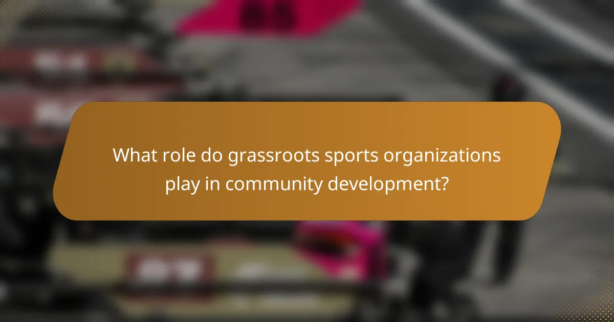 What role do grassroots sports organizations play in community development?