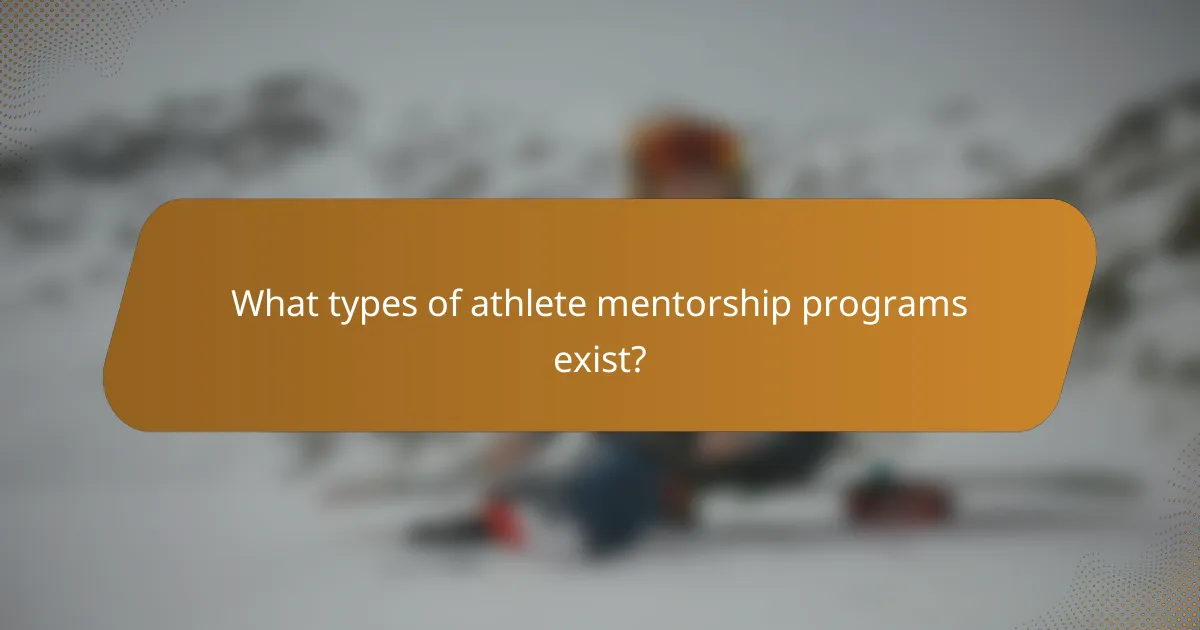 What types of athlete mentorship programs exist?
