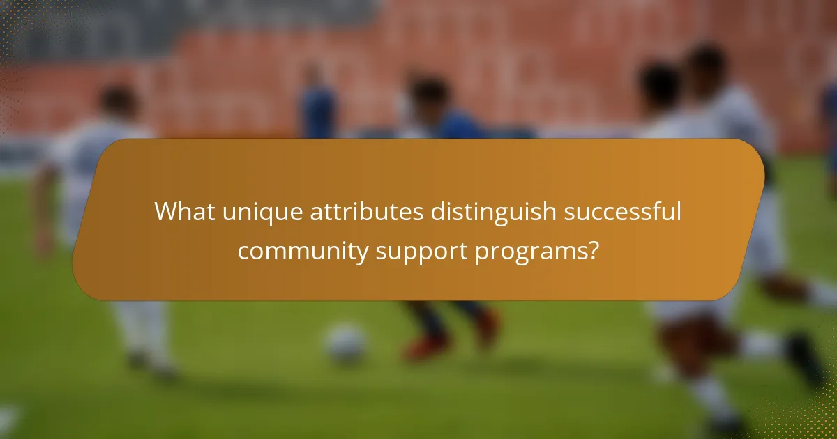 What unique attributes distinguish successful community support programs?