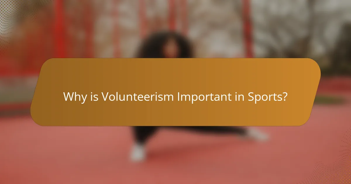 Why is Volunteerism Important in Sports?